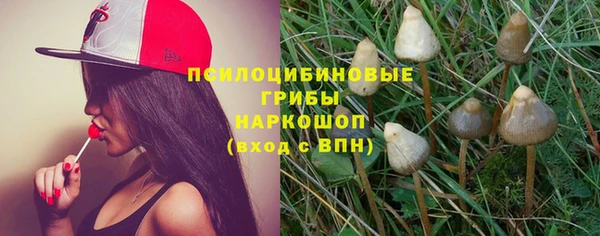 хмурый Балабаново